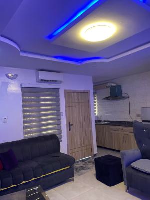 a Standard Luxury One-bedroom Apartment, Off Deeper Life Hq, Gbagada, Lagos, Mini Flat (room and Parlour) Short Let