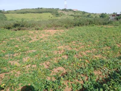 4600sqm Filling Station Purpose Land, Along Dutse/ Bwari Expressway, Ushafa, Bwari, Abuja, Commercial Land for Sale