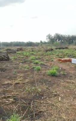 Smart Investment for Great Thinker Strategically  Along The Expressway, California Heights 1 Owa - Oyigbu Agbor, Ika North East, Delta, Residential Land for Sale