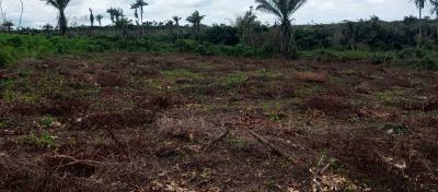 C of O Land, Dreammakers Estate in a Livable Community Buy and Build, Epe, Lagos, Mixed-use Land for Sale