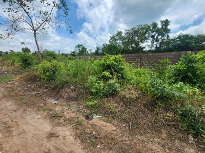 Earn Sustainable Income Through Green Investment, Off Funaab, Alabata Road, Odeda, Ogun, Mixed-use Land for Sale