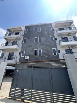 a Two Bedroom Penthouse Apartment, Ologolo, Lekki, Lagos, Flat / Apartment for Sale