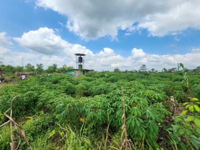 Let Your Investment Breathe, Grow, and Multiply Naturally, Off Funaab, Alabata Road, Odeda, Ogun, Mixed-use Land for Sale