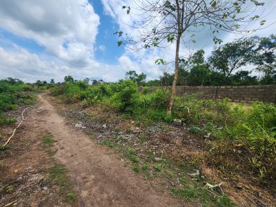 Make Your Money Work for You Through Farmland Investment, Off Funaab, Alabata Road, Odeda, Ogun, Mixed-use Land for Sale