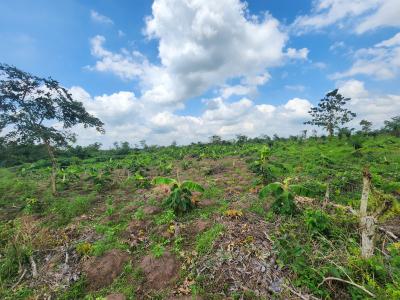 Secure Acres of Farmland That Pays You Season After Season, Off Funaab, Alabata Road, Odeda, Ogun, Mixed-use Land for Sale