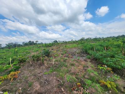 Let Your Farmland Make Money While You Sleep, Off Funaab, Alabata Road, Odeda, Ogun, Mixed-use Land for Sale