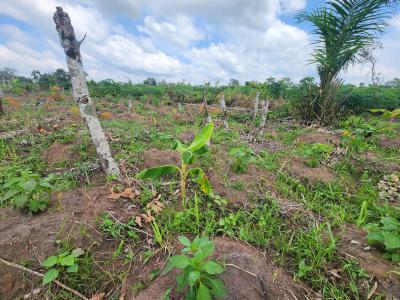 Invest in Acres of Farmland with Guaranteed Profitability, Off Funaab, Alabata Road, Odeda, Ogun, Mixed-use Land for Sale