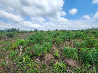 From Soil to Success, Invest in Farming, Off Funaab, Alabata Road, Odeda, Ogun, Mixed-use Land for Sale