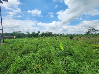 Invest in Green Gold and Earn for Life, Off Funaab, Alabata Road, Odeda, Ogun, Mixed-use Land for Sale