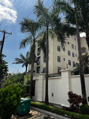 a 2 Bedroom Fully Furnished Apartment with Bq, Ikoyi, Lagos, Flat / Apartment for Rent