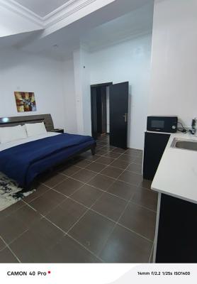 Standard Self Contain, By Igbo Efon Bus Stop, Ikate, Lekki, Lagos, Self Contain (single Rooms) for Rent