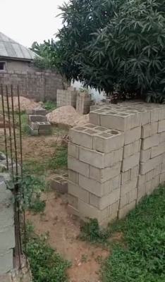 Prime Commercial Land (25ft X 50ft) Facing Tarred Road, Along Meiran Ajoke Ayo Road, Meiran, Agege, Lagos, Commercial Land for Sale