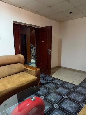 Fully Furnished 1 Bedroom Apartment, Zone 3, Wuse, Abuja, Flat / Apartment for Rent