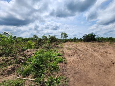 Watch Your Land Appreciate While Your Profits Multiply, Off Funaab, Alabata Road, Odeda, Ogun, Mixed-use Land for Sale