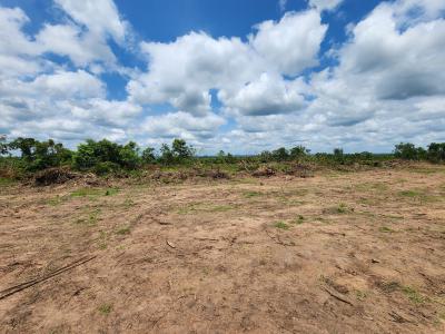 Own Farmland That Appreciates While Producing Income, Off Funaab, Alabata Road, Odeda, Ogun, Mixed-use Land for Sale