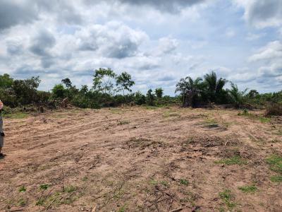 Multiply Your Earnings Through Sustainable Agriculture, Off Funaab, Alabata Road, Odeda, Ogun, Mixed-use Land for Sale