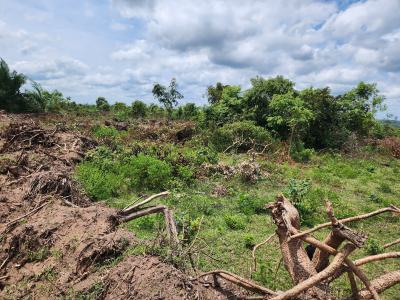 Join Investors Turning Acres Into Annual Income Streams, Off Funaab, Alabata Road, Odeda, Ogun, Mixed-use Land for Sale
