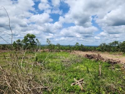 Secure Your Place in Tomorrows Agricultural Revolution, Off Funaab, Alabata Road, Odeda, Ogun, Mixed-use Land for Sale