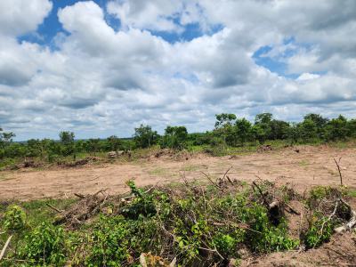 Profitable Agriculture Begins with The Right Farmland, Off Funaab, Alabata Road, Odeda, Ogun, Mixed-use Land for Sale