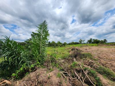 Fertile Land, Flexible Plans, Fantastic Returns, Off Funaab, Alabata Road, Odeda, Ogun, Mixed-use Land for Sale