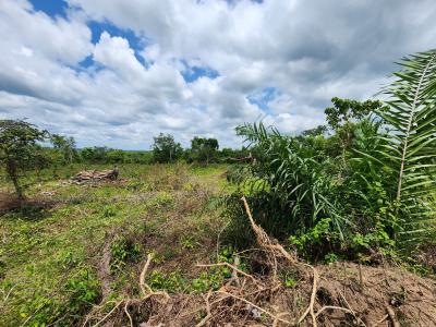 Double Your Investment Through Agriculture, Off Funaab, Alabata Road, Odeda, Ogun, Mixed-use Land for Sale