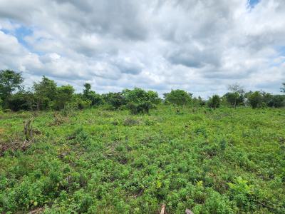 Let Your Money Grow on Acres of Fertile Ground, Off Funaab, Alabata Road, Odeda, Ogun, Mixed-use Land for Sale