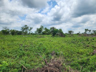 Earn Consistent Profit While Your Crops Do The Work, Off Funaab, Alabata Road, Odeda, Ogun, Mixed-use Land for Sale