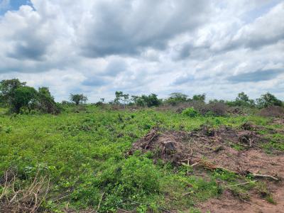 Your Money Deserves to Grow on Fertile Soil, Off Funaab, Alabata Road, Odeda, Ogun, Mixed-use Land for Sale