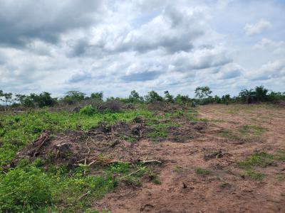 Imagine Earning Yearly Returns Without Lifting a Hoe, Off Funaab, Alabata Road, Odeda, Ogun, Mixed-use Land for Sale