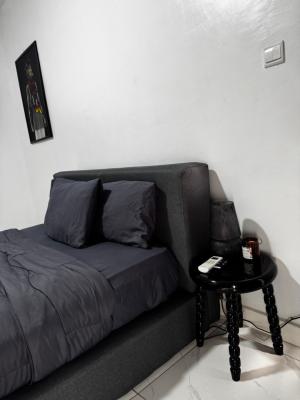 2 Bedroom Apartment Furnished, Chevron Lekki, Lekki, Lagos, Flat / Apartment for Rent