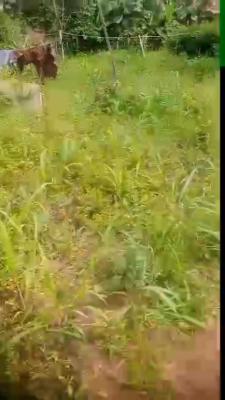 2 Vacant Plot Together, Lagos - Abeokuta Express Way, Ijaiye, Lagos, Mixed-use Land for Sale