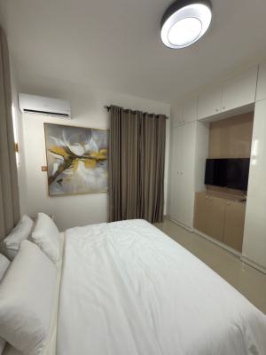 Luxury Furnished 2- Bedroom Apartment, Wuye, Abuja, Flat / Apartment for Rent