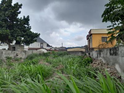 Fenced Bareland Measuring 425sqmts, Okunola, Egbeda, Alimosho, Lagos, Residential Land for Sale