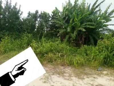 Buy and Build ..lets Deal, Abidjo Gra Phase1, Lekki Expressway, Lekki, Lagos, Land for Sale