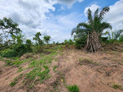 Acres of Farmland with a Promo Offer Suitable for Cocoa Plantation, Off Funaab, Alabata Road, Odeda, Ogun, Mixed-use Land for Sale