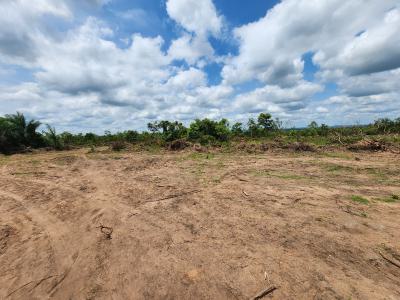 Invest Once and Enjoy Profit Every Harvest Season, Off Funaab, Alabata Road, Odeda, Ogun, Mixed-use Land for Sale
