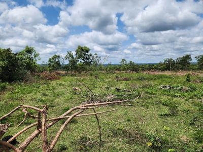 Own Acres of Farmland Today and Make Millions Tomorrow, Off Funaab, Alabata Road, Odeda, Ogun, Mixed-use Land for Sale