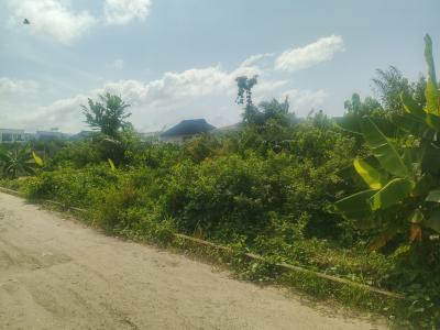 986 Sq Mts Partly Fenced Plot of Land, Block 5c, Lekki Phase 2, Lekki, Lagos, Residential Land for Sale