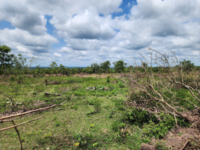 a Farmland Investment Designed for Long-term Prosperity, Off Funaab, Alabata Road, Odeda, Ogun, Mixed-use Land for Sale