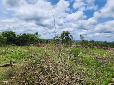 Secure The Future with Farmland That Keeps Producing Income, Off Funaab, Alabata Road, Odeda, Ogun, Mixed-use Land for Sale