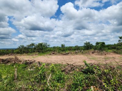 Turn Your Idle Funds Into Thriving Farmland Assets, Off Funaab, Alabata Road, Odeda, Ogun, Mixed-use Land for Sale
