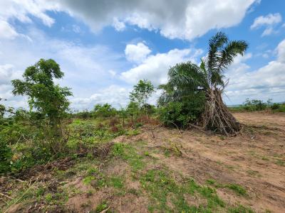 Own 100% Fertile Farmland, Ideal for Cocoa Farming, Off Funaab, Alabata Road, Odeda, Ogun, Mixed-use Land for Sale