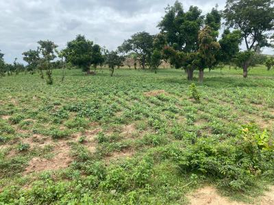 Two Serial Plots of 8 Hectares, Guzape 2, Guzape District, Abuja, Mixed-use Land for Sale