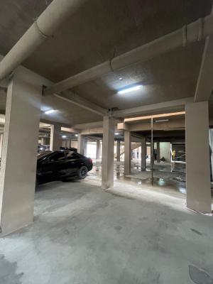 Executive Well Designed  in Premium Area, Ikate, Lekki, Lagos, Flat / Apartment for Rent