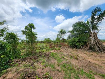 Acres of Farmland with a Promo Offer Suitable for Oil Palm Plantation, Off Funaab, Alabata Road, Odeda, Ogun, Mixed-use Land for Sale