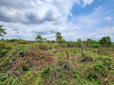 Own Productive Farmland Suitable for Cashew Farming, Off Funaab, Alabata Road, Odeda, Ogun, Mixed-use Land for Sale