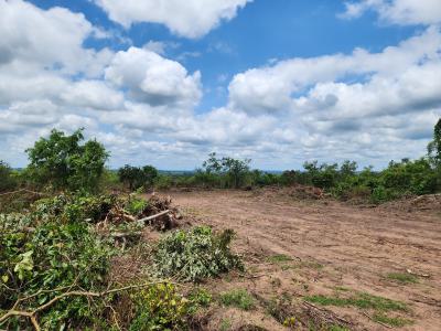 Own Affordable, Fertile Farmland Ideal for Cocoa Farming, Off Funaab, Alabata Road, Odeda, Ogun, Mixed-use Land for Sale