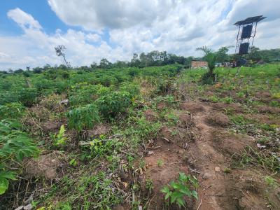Get Your Own Farmland and Start Cultivating Cassava, Off Funaab, Alabata Road, Odeda, Ogun, Mixed-use Land for Sale