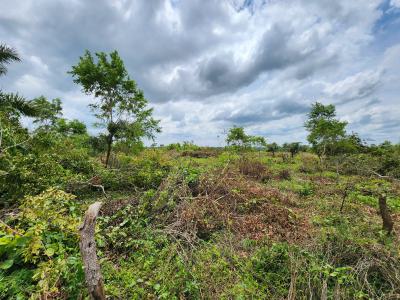 Acres of Farmland with a Promo Offer Suitable for Cashew Plantation, Off Funaab, Alabata Road, Odeda, Ogun, Mixed-use Land for Sale