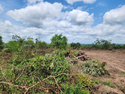 Own Hectares of Productive Farmland Suitable for Oil Palm Farming, Off Funaab, Alabata Road, Odeda, Ogun, Mixed-use Land for Sale